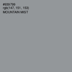 #939799 - Mountain Mist Color Image